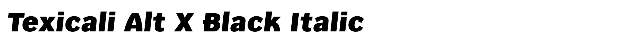 Texicali Alt X Black Italic image